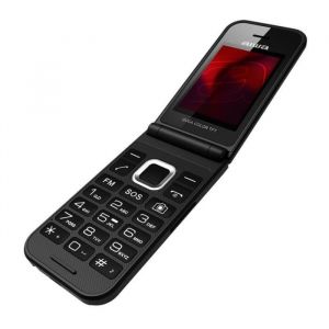 Téléphone à clapet - AIWA - FP-24BK - Noir - Double SIM - Écran couleur - Appareil photo