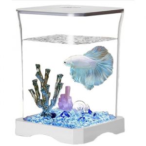 Betta Fish Tank &ndash; Table daquarium  Nano r&eacute;servoir combattant blanc avec filtre int&eacute;gr&eacute; petit kit d&eacute;marrage pour poissons Betta