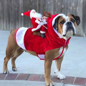 D&eacute;guisement de P&egrave;re No&euml;l pour chien combinaison de P&egrave;re No&euml;l pour animaux de compagnie taille L