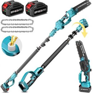 Scie d&Eacute;lagage 2-en-1 Sans Fil 8 &ndash; Tron&ccedil;onneuse T&eacute;lescopique avec Manche Extensible + Mini Tron&ccedil;onneuse 2 Batteries Incluses