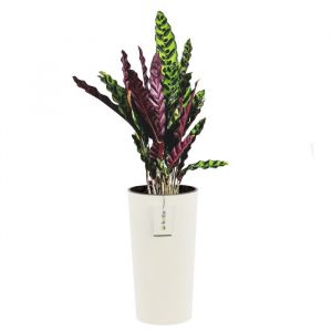 Pot de fleurs rond - Blanc - &Oslash; 30 cm - H 57.5 cm - Plastique r&eacute;sistant - Motif &agrave; rayures modernes