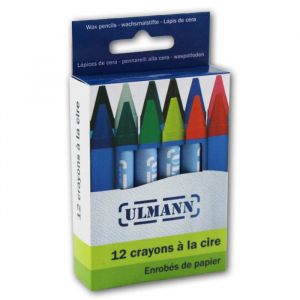 12 crayons de couleur a la cire 9 cm