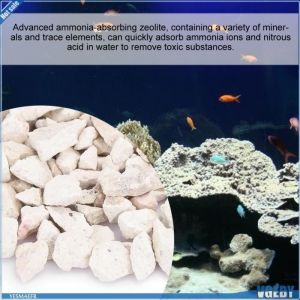 Filtre Zéolite - V GEBY - Absorbe Ammoniac - Pour Aquariums - Eau Douce et Eau de Mer - 527g