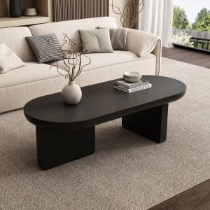 Table basse Salon Ovale Rangement Ouvert Laqu&eacute; Table &agrave; Manger Pour Salon Canap&eacute; Table Style Moderne Minimaliste 119x50x355 cm Noir