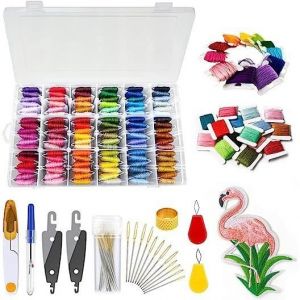 Fils &agrave; Broderie KitPoint de Croix108 Couleurs KitFils Broderie et Aiguilles avec bo&icirc;te de Rangement pour Broderie