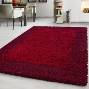 Teppium Tapis Shaggy &agrave; Poils Longs  200 cm Rond Tapis Rouge - Design avec Bordure pour un Salon Moderne