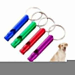 Sifflet ChienSifflet Ultrason ChienSifflet Ultrason Chien RappelSifflet Anti Aboiement ChienSifflet Couleur Aléatoire4PCS