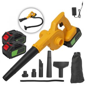 Souffleur et aspiration 2 en 1 sans Fil balayeuse de poussi&egrave;re bross&eacute;e maison jardin poils danimaux+ 2 batterie 21V