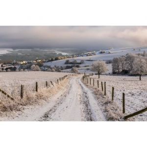 Photo Art Papier Peint INTISSÉ-CHAMPS DHIVER-(216662)-8 lés-400x260cm-Mural Poster Géant XXL-Animaux Nature Forêt Mer Beach Soleil