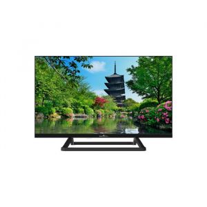 Smart Tech 24HN01V3CA HD LED TV 24 Pouces (60cm) Triple Tuner Dolby Audio H.265 HDMI USB  chargeur 12 volts