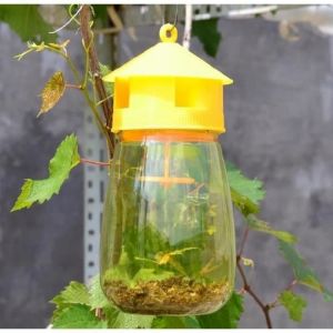 Piège nuisiblePiège à mouches pour guêpes 1 pièce piège à mouches pour fruits insectes suspendus attrape-miel [C612677864]