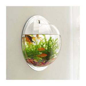ECELEN Aquarium Mural Transparent Demi-Sphère–Décoration Murale Moderne pour Plantes Aquatiques Poissons Rouges-15CM