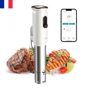 INKBIRD ISV-101W WiFi Thermoplongeur sous vide 1000W Four sous vide Cuisson Basse Circulation d&rsquo;eau 3D Chauffage avec application