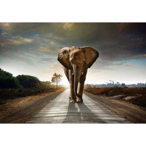 Papier Peint Photo INTISS&Eacute; -(12616V3T)- ELEPHANT-416x254cm-4 l&eacute;s-Mural Poster G&eacute;ant XXL-Mer Beach Mer Oc&eacute;an Nature Jungle For&ecirc;t