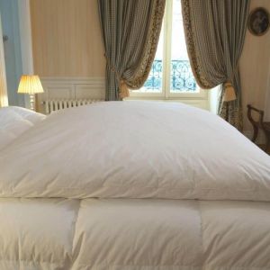 Édredon gonflant - CASTEX COUETTES NATURELLES - Blanc 200x170 cm - 90% duvet neuf - antiallergique