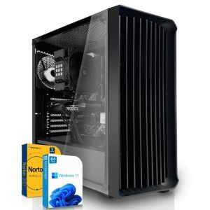 ordinateur de bureau - AMD Ryzen 3 4300G - Radeon RX Vega 6 - 16Go RAM - 512Go M.2 NVMe- Windows 11 - WiFi-64
