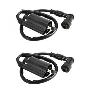 2X Bobines Dallumage de Moto pour Yamaha GS125 GN125 VX250 Virago 1100 XV1100 XV-1100 1995-2007