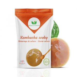 Original Kombucha Scoby Kit de d&eacute;marrage de Culture Mere de Kombucha de souche Authentique  + Ebook + Biblioth&egrave;que recettes