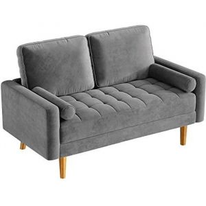 Canapé 2 Places en Tissu Velours Style Moderne Scandinave pour Salon Appartement Petit Espace Pieds Bois MassifGRIS