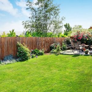 Canisse brise-vue Saule 200 x 500 cm &ndash; 1 pi&egrave;ce