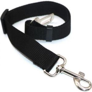 Ceinture de s&eacute;curit&eacute; pour chien chat laisse voiture noir GUIZMAX