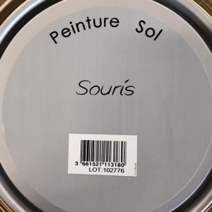 Peinture - GRIS SOURIS - Glycérophtalique - 05L - Intérieur/Extérieur - Sols