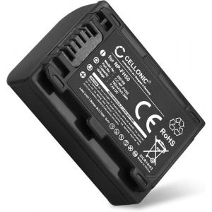 Batterie Remplacement NP-FH40 NP-FH50 -FH60 700mAh pour Sony A230 A290 A330 A380 A390 DSC-HX1 HX200V HX100V CX7 HDR-SR11 HDR-SR12
