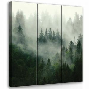 Impression sur Toile 3 parties Forêt dans la brume 90x100 cm XXL Tableau Décoration Murale Intissée Salon Chambre pret a accroche