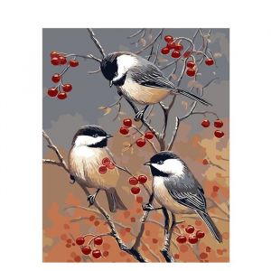 YEESAM ART Peinture par Numero Adulte Peinture Oiseaux et de Fleurs Peinture Numero d Art Sans Cadre 16x20 pouce Acrylique