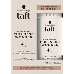 Schwarzkopf Taft Poudre Coiffante Cheveux 2-En-1 Volume Effet Matifiant 10 g