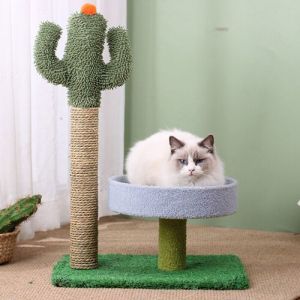 Arbre à Chat Cactus Moderne Arbre à Chat avec Poteau Griffoir Sisal arbre à chat créatif 45x33x68cm