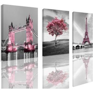 Décoration murale pour chambre de fille sur le thème de Paris rose Art noir et blanc Tour Eiffel Tableau encadré 30x40x3 panneaux