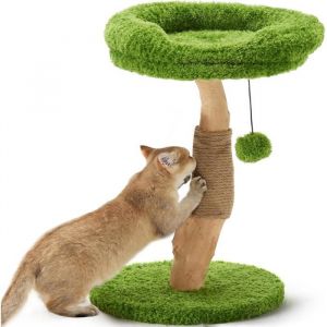 Arbre À Chat Avec Lit Griffoir En Bois Massif Petit Arbre À Chat Avec Corde De Jute Naturelle Pour Chatons Et Chats DIntérieu