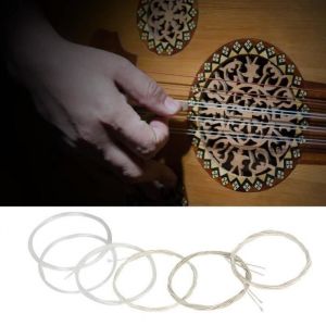 Accessoire de remplacement de jeu de cordes Oud en alliage de cuivre plaqué argent en nylon transparent (12 cordes)