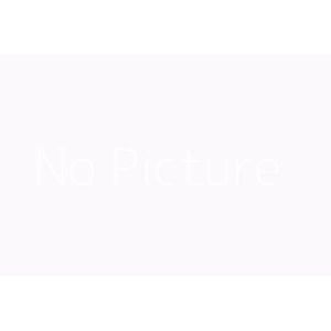 Disque dur - WESTERN DIGITAL - WD Red WDBMMA0080HNC-WRSN - 8 To - 3.5 Interne - SATA/600