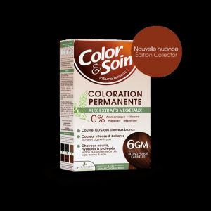 Les 3 Chênes Color et Soin 6GM Blond Foncé Cannelle 135Ml