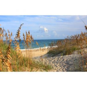 Papier Peint Photo Murale INTISS&Egrave; (5780) DUNE SABLE-400x260cm-Tapisserie Fond d&rsquo;&Egrave;cran Affiche Poster Geant Panneau Herbs Plage XXL