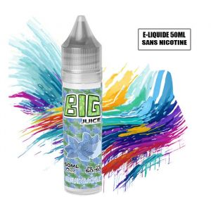 E-LIQUIDE - BIGJUICE - 50ML sans nicotine (0MG) - SAVEUR : MENTHE GLACIALE