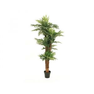Plante artificielle - EUROPALMS - Palmier darec - 170 cm - Tronc en fibre de palmier - Int&eacute;rieur