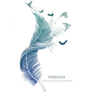 Omystore Plume Autocollant Mural D&eacute;coration Murale Pour La Chambre Denfant Salon 124cm &times; 72cm Sticker Mural