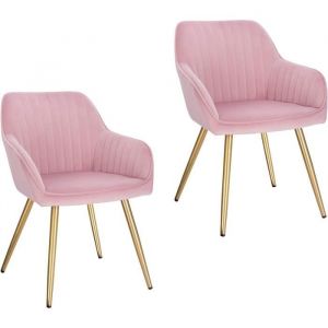 2x Chaises de Salle à Manger avec Dossier et Accoudoir Chaise de Cuisine en Velours Fauteuil Scandinave Rose 1024BY-2