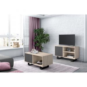 Set Wind Ensemble de Meubles composé par 1 Meuble TV100 et 1 Table Basse Chêne/Gris Pieds noirs RF1124