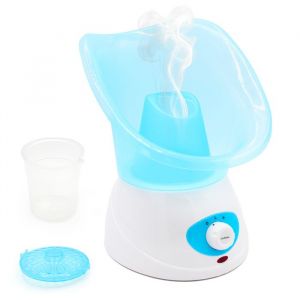 FISHTEC Inhalateur Vapeur &Eacute;lectrique - 2 Embouts (Facial & Nasal) - Diffusion Vapeur Chaude - R&eacute;servoir avec Arr&ecirc;t Auto -...