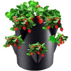 Sac de plantation pour fraisiers - Pot &agrave; fraises en feutre - Avec 6 poches lat&eacute;rales - Pot de 26 litres - Mati&egrave;re non tiss&eacute;e -
