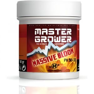 MASSIVE BLOOM 100gr - Hydropassion