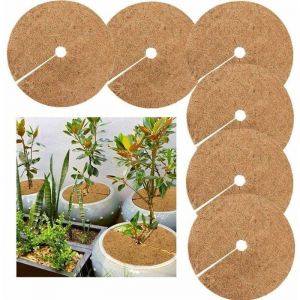 Disque paillage biod&eacute;gradable 20 cm - Protection hiver plantes pot coco jardin Label