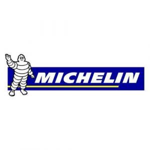 Michelin Pompe &agrave; pied 7 bar - 9501