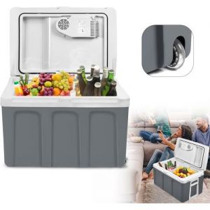 Glacière électrique - LZQ - 48L - Froide Chaude - Gris