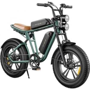 ENGWE M20 - V&eacute;lo Electrique Adulte Double Batterie 48V 26Ah Autonomie 120km Tout Suspendu Shimano 7  Fat Bike  Vert