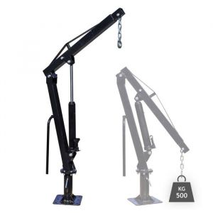 Wiltec Grue de levage pour Pick up ou Remorque – Charge max. 500 kg –